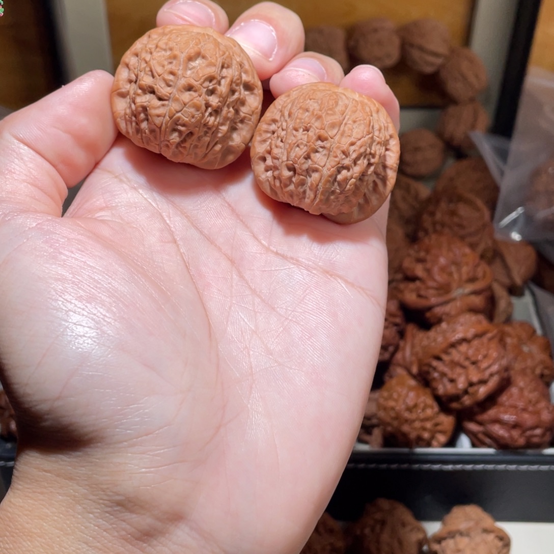 岁***聿36➕全品无修极品血麒麟