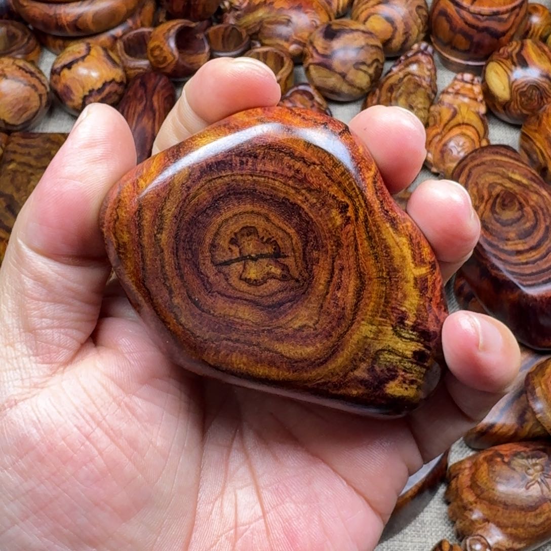 黄花梨/降香黄檀我