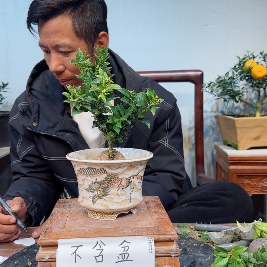 当前无花朵，栽培后可花朵?***?