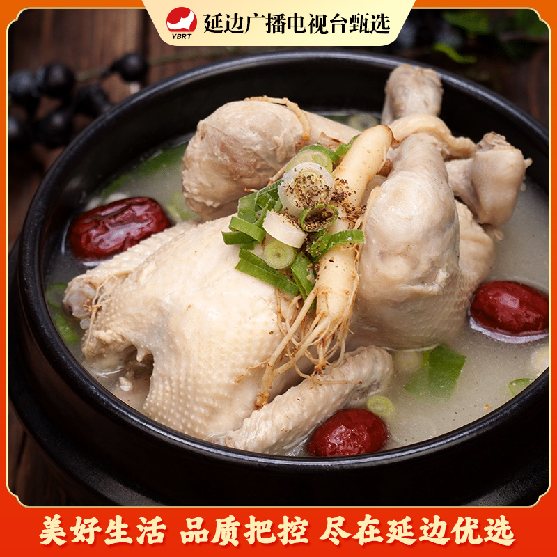 【延边广播电视台专属】延边参鸡汤延边朝鲜族传统地道特色朝小延