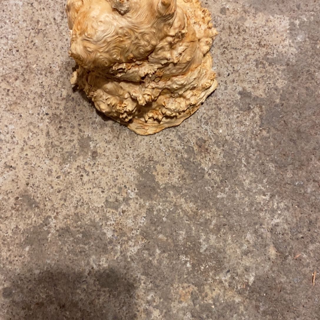 小***4荔枝木随形木材一个