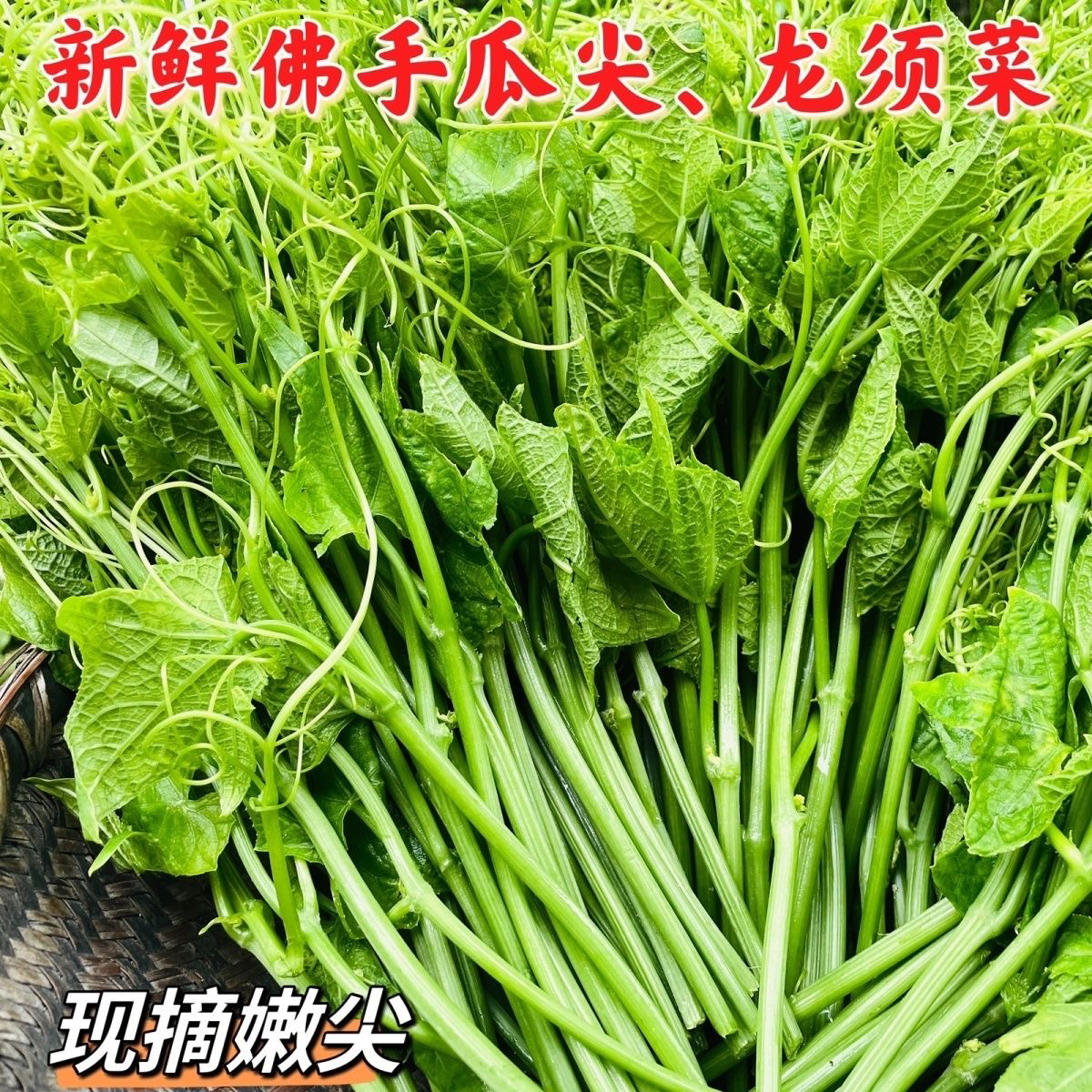贵州佛手瓜嫩尖龙须菜鲜嫩丝瓜尖现摘现发洋瓜尖嫩芽新鲜捧瓜尖