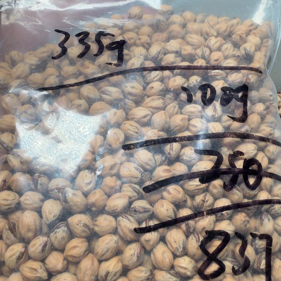 吊坠柏香籽/百香籽花*米