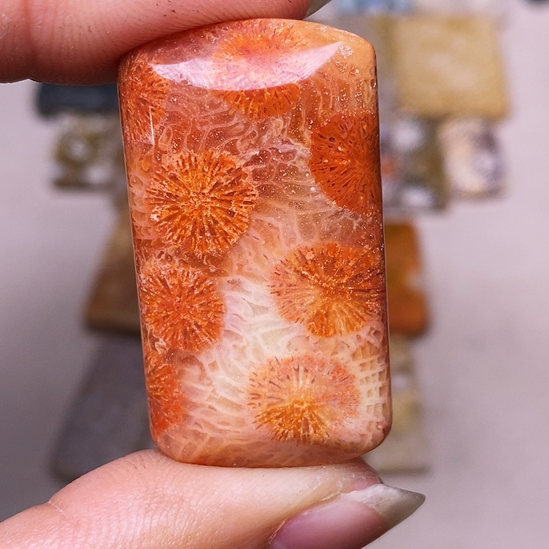 喜***七硅化玉合金珊瑚玉