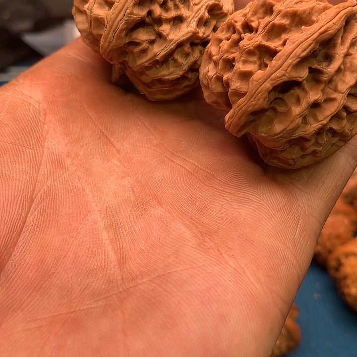 苹果园文玩核桃手把件