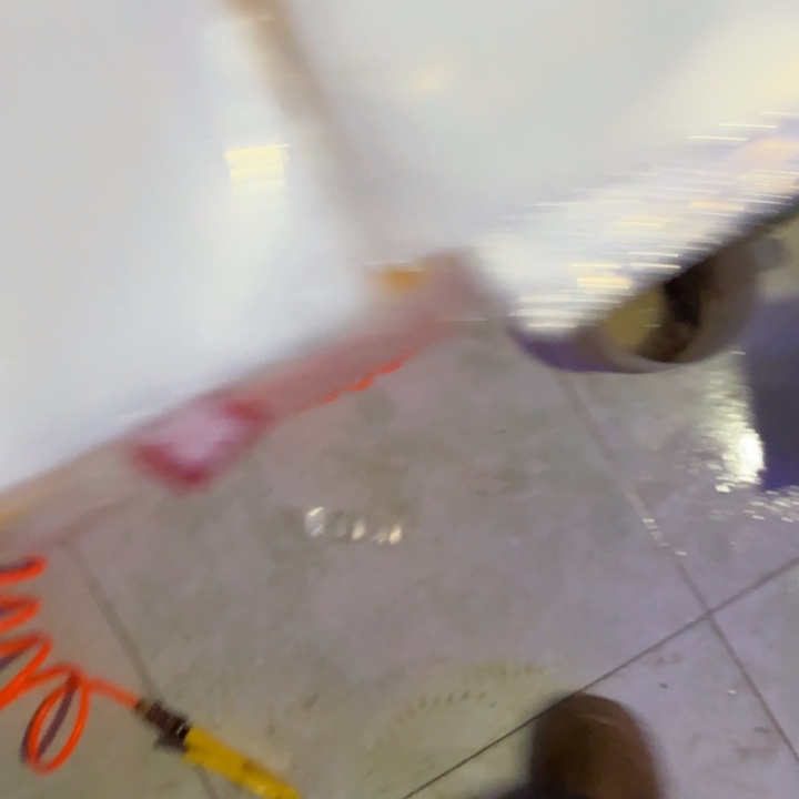 王***徒奶嘴海葵螳螂虾11111