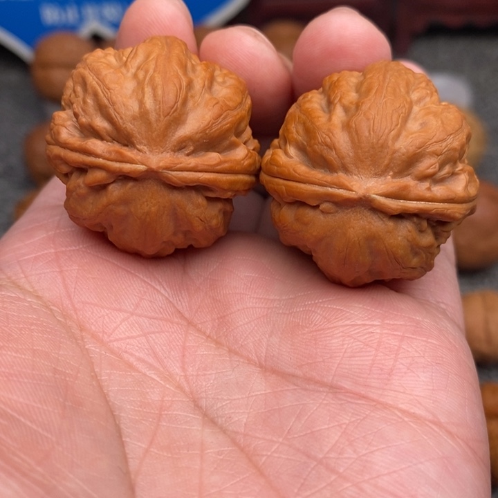 文玩核桃把件卧龙粗筋