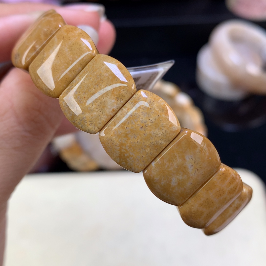 硅化珊瑚（珊瑚玉）未镶嵌吊坠(赠链)五折金枫叶（19号）