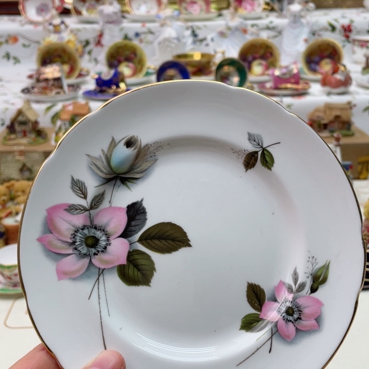 盘维多利亚欧洲中古