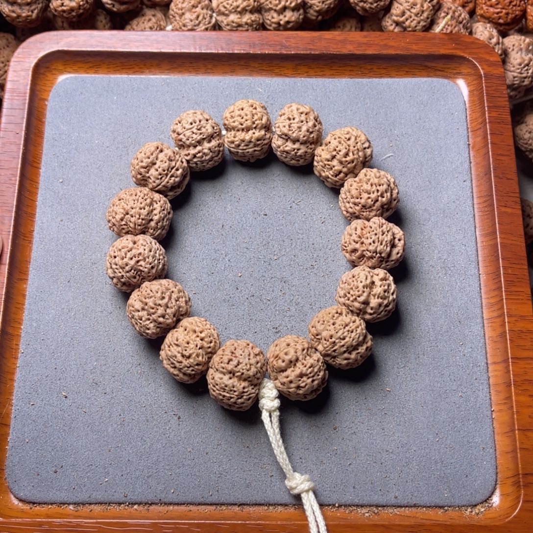 徽***生菩提籽类26号金刚菩提梁梅花21