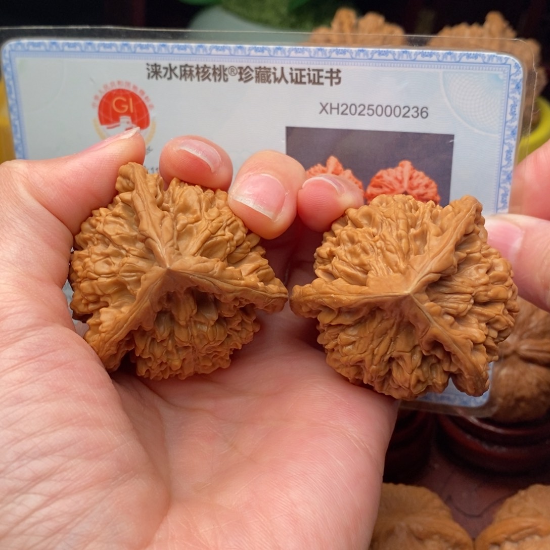 文玩核桃把件官帽奔47