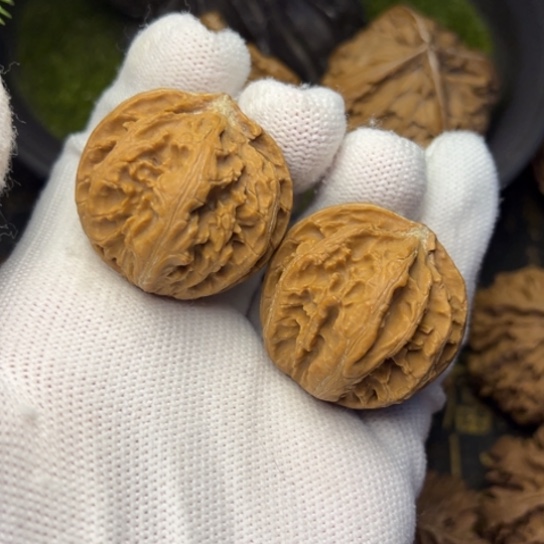 大***L文玩核桃把件秦岭核桃5