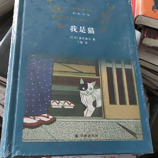 我是猫8闪购闪购闪购闪购闪购闪购