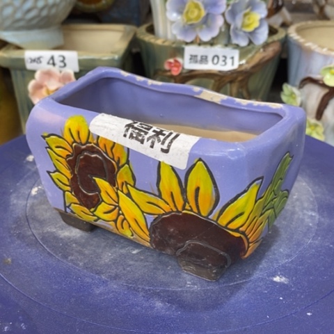 【闪购商品】红陶1