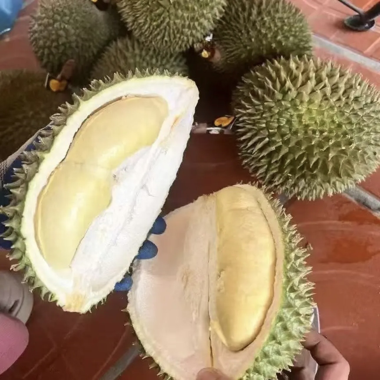 越南奶牛猫山王榴莲新鲜榴莲软糯香甜鲜果发货