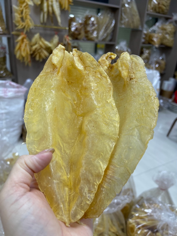 泽娜苏母北海母鳘鱼胶北海