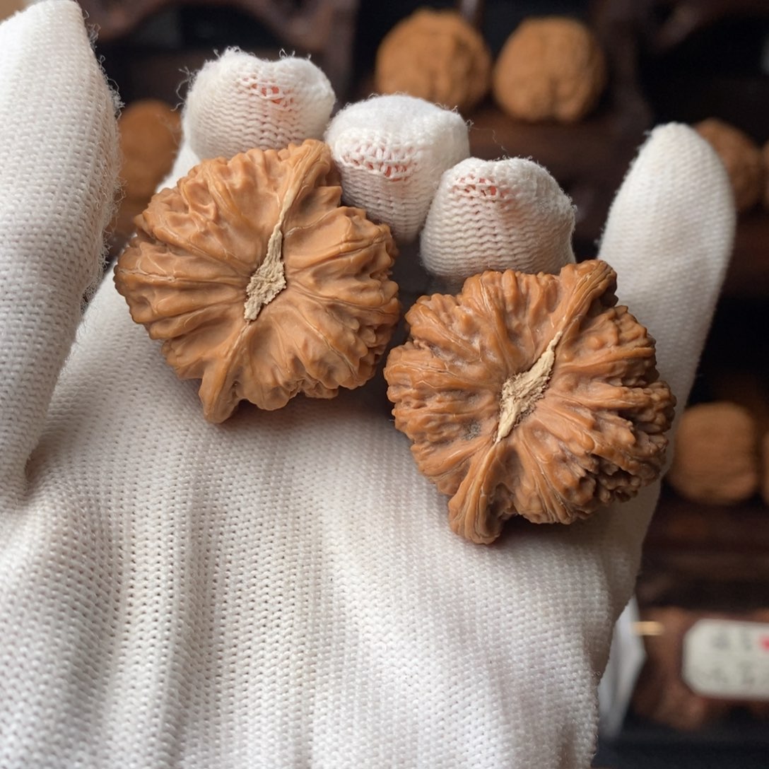 文玩核桃把件肖**$全品红宝石