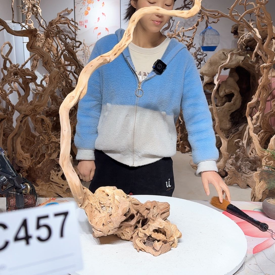 风车木（黑檀木）楓****聞