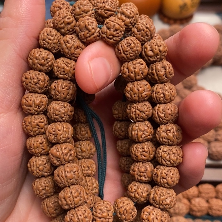 菩提紫****来纯血老树王