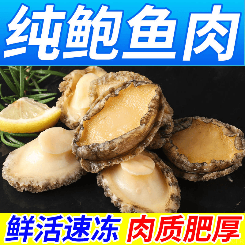 鲍鱼肉新鲜速冻去壳去内脏鲜活冷冻鲍鱼大鲍鱼顺丰冷链连云港发货