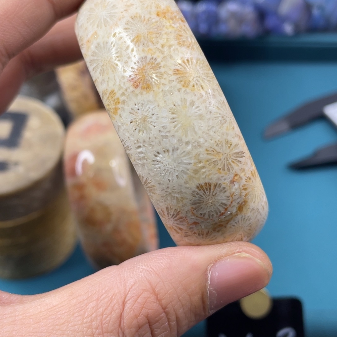 未镶嵌手镯硅化玉