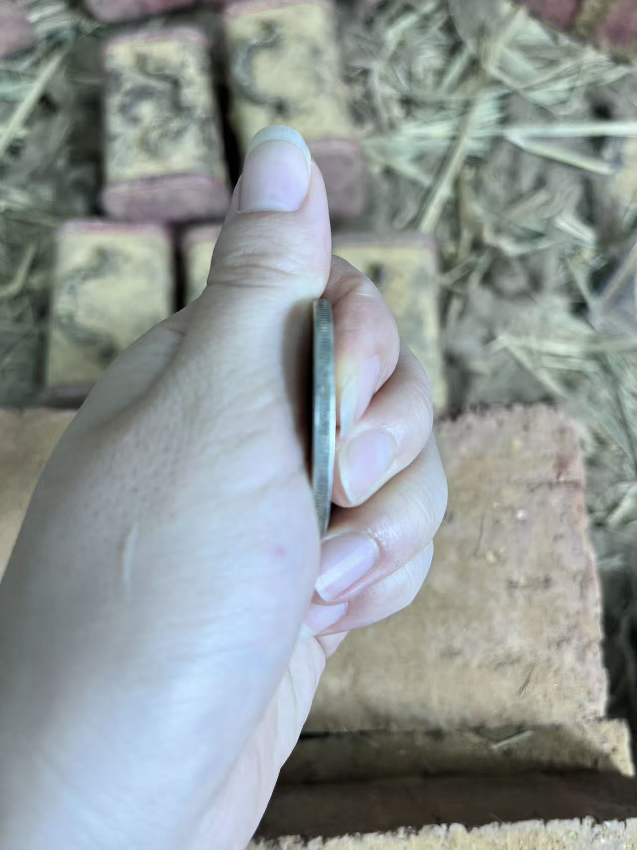 鑫鑫趣味收藏    xm0055   趣味收藏现代工艺品复古仿古