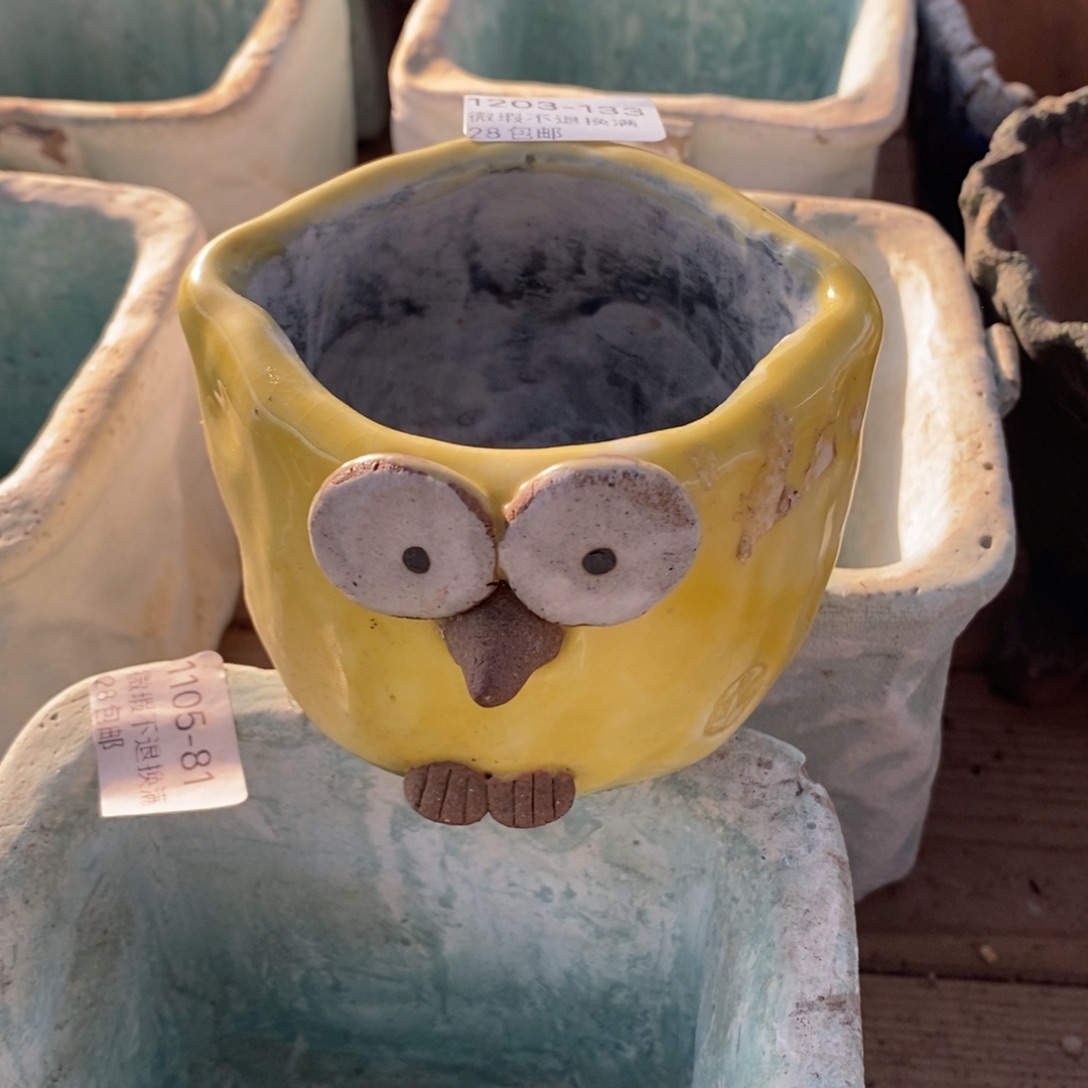 133号多肉盆口径8，