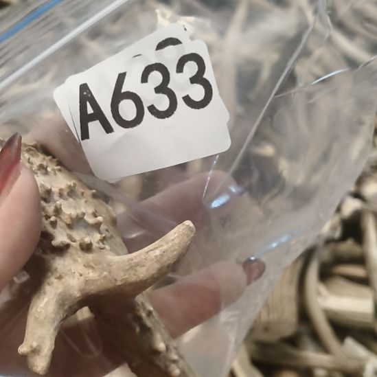 退***风鹿角鹿角鹿角鹿角鹿