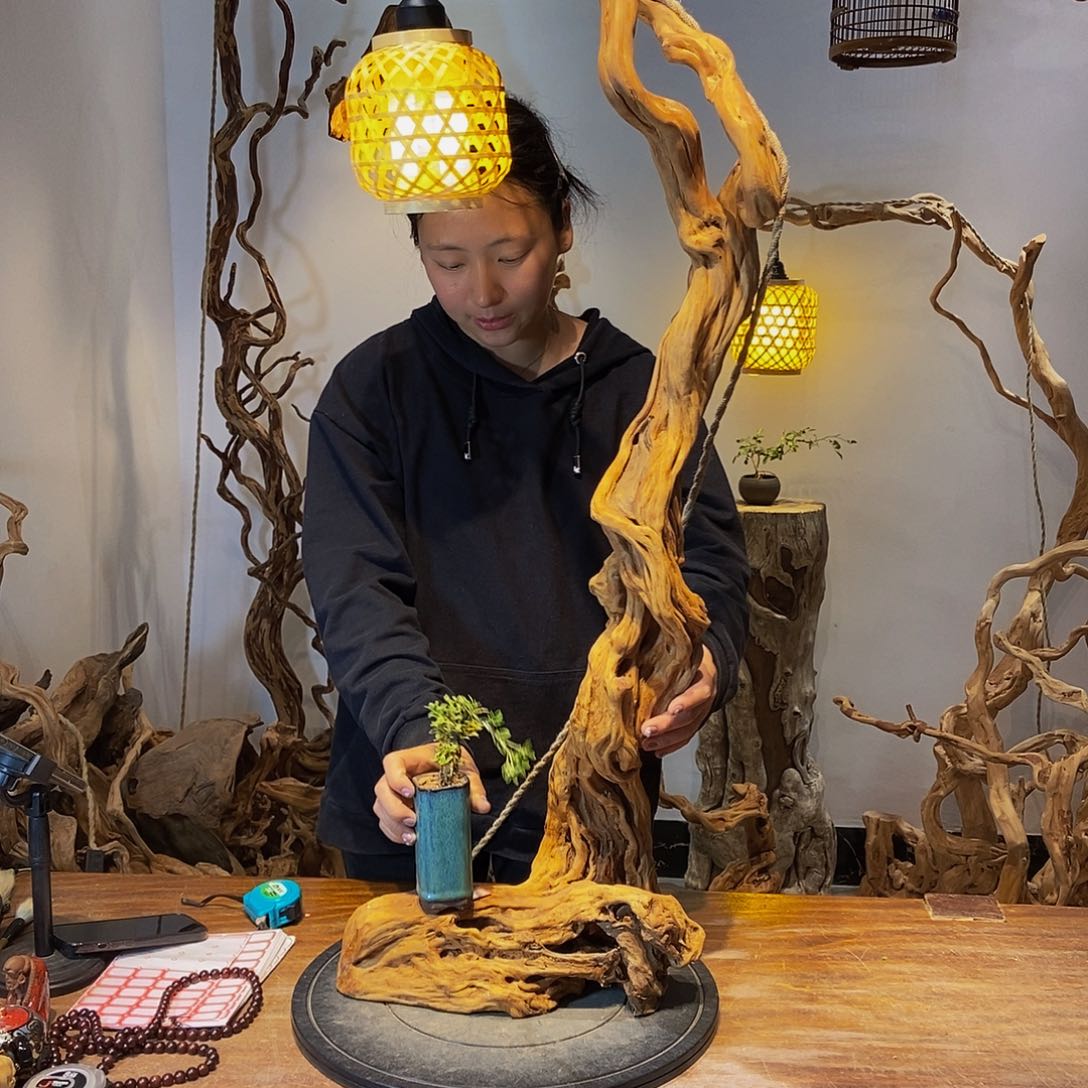 摆件天然根雕摆件拍品不含配饰