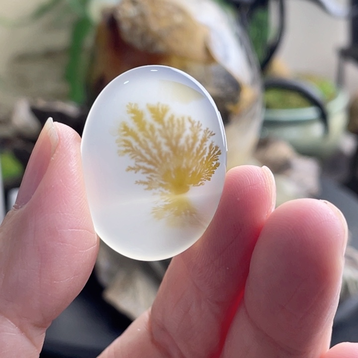 玛瑙/玉髓珠宝半成品未镶嵌