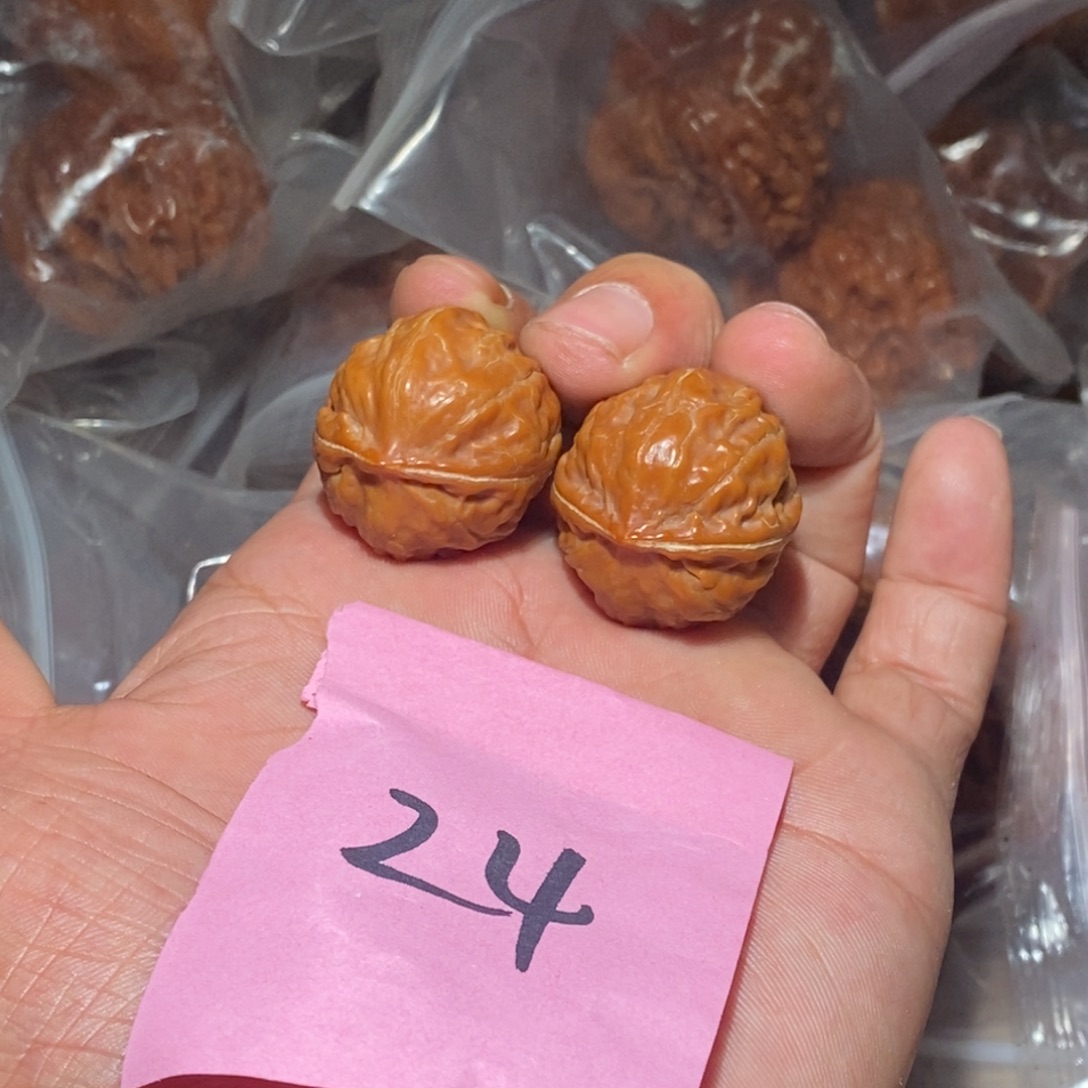 霸王龙。手捻子。         