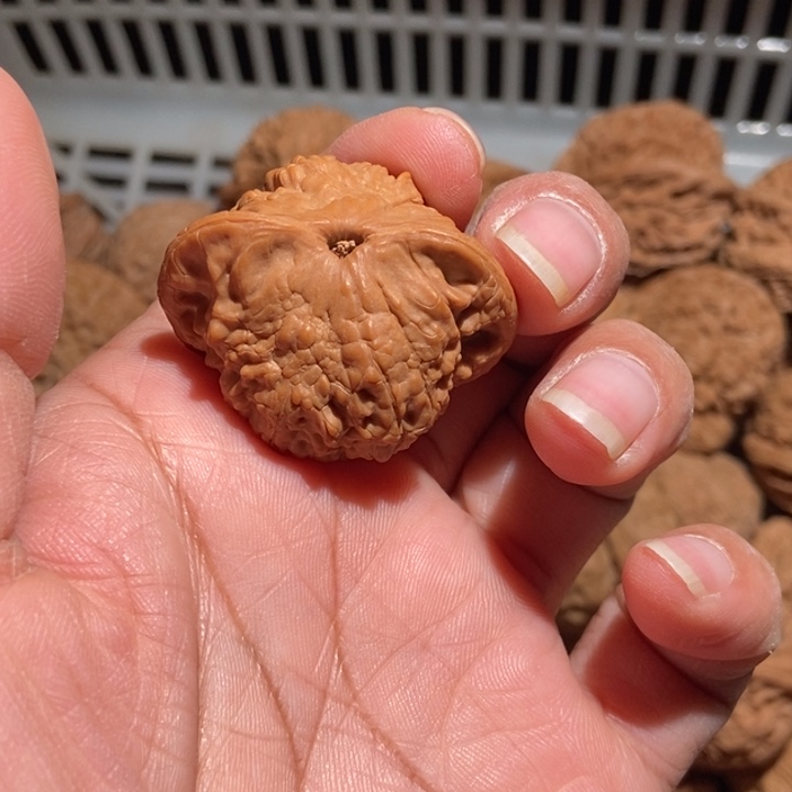 奉***n核桃崔凯小金鱼尺寸38全品