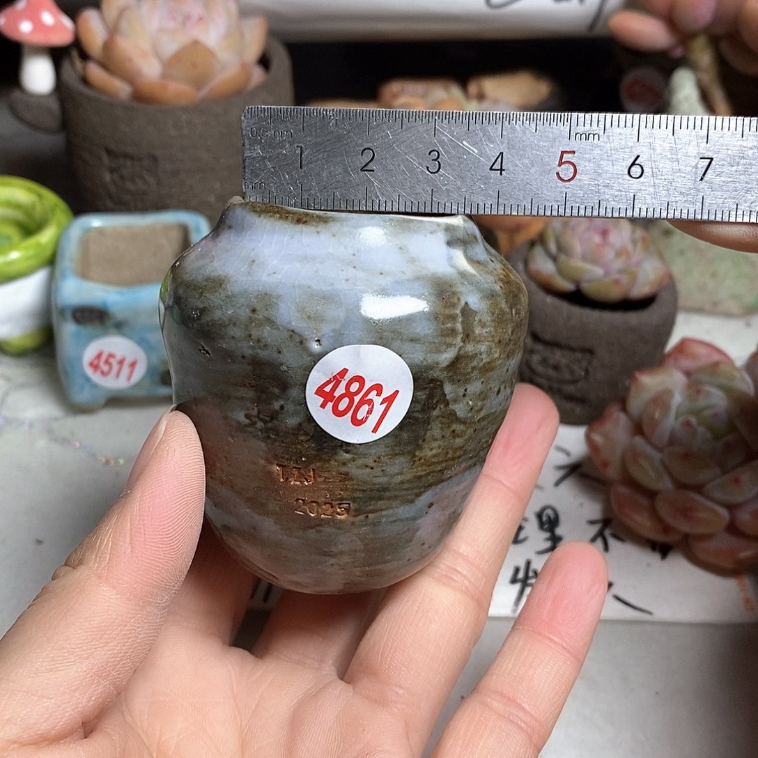 红陶拍5送一个小