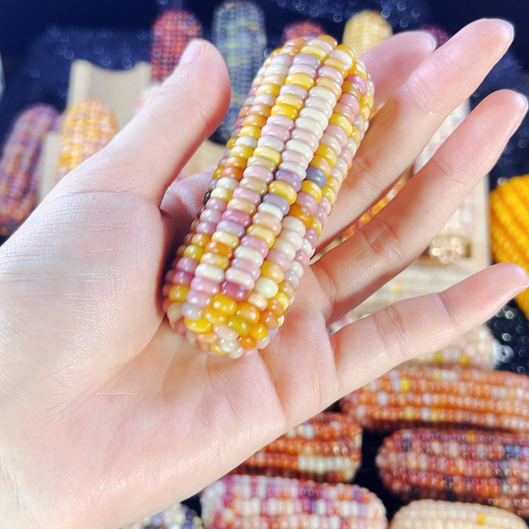 树脂萌*萌亲爱的拍400