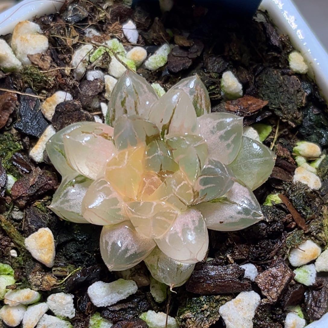 恭喜发财大吉大利0122