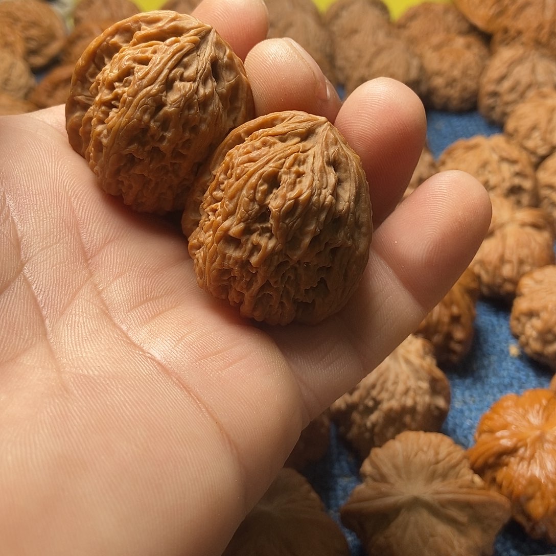 杨***子把件文玩核桃南疆石