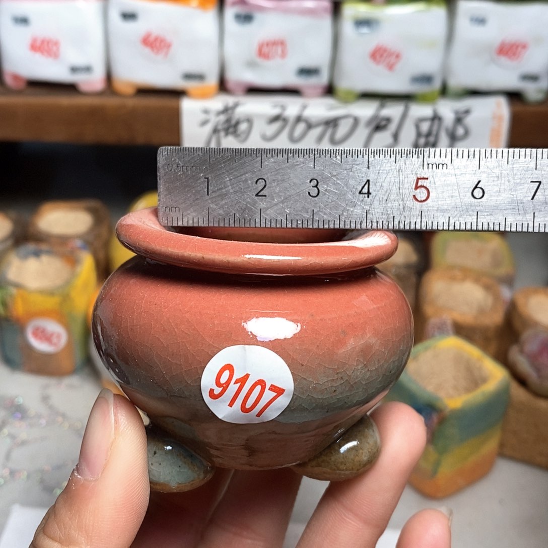 红陶拍5送一个小