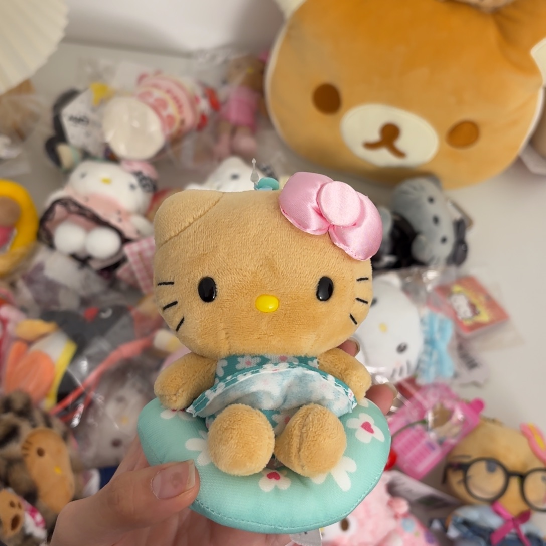 毛绒黑皮泳圈kitty
