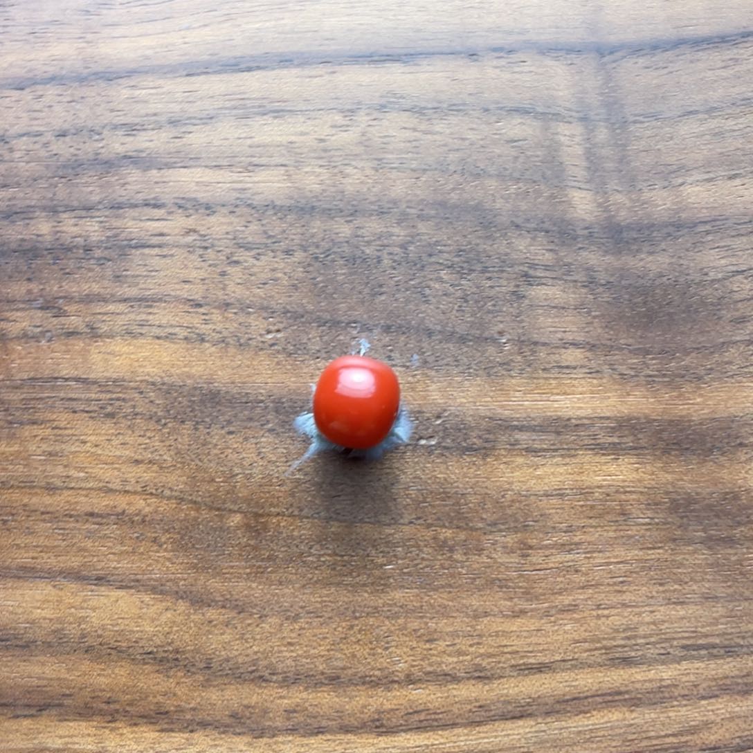 南红玛瑙9.3mm锦红未镶嵌福**贝