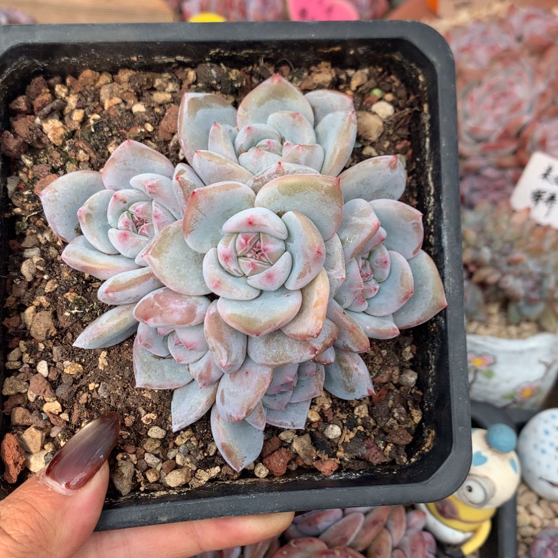 哈哈哈哈哈哈哈哈哈11