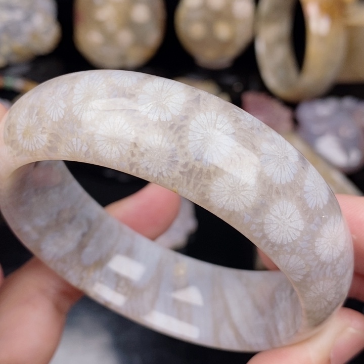 未镶嵌手镯硅化玉