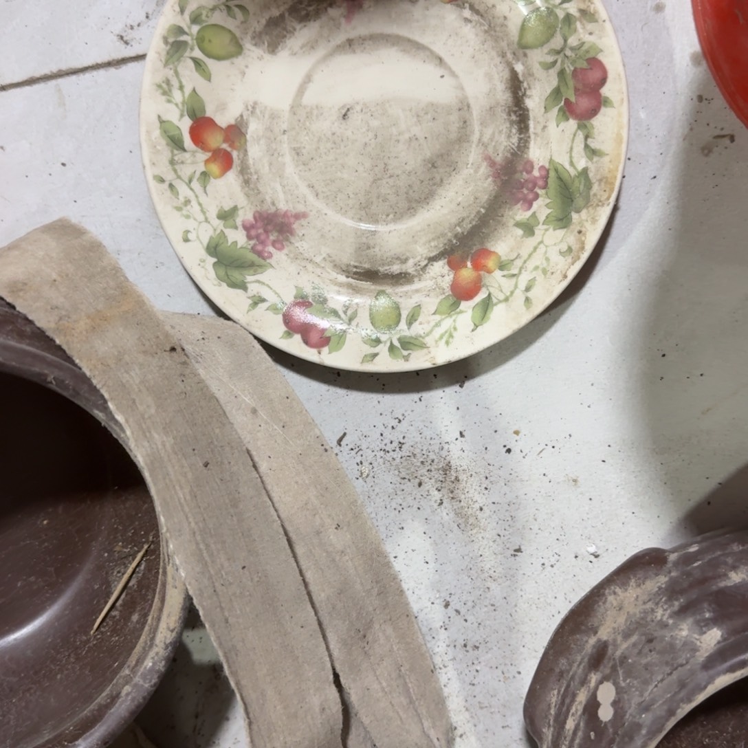 茶盏在干嘛的我也睡啦一晚上的呀