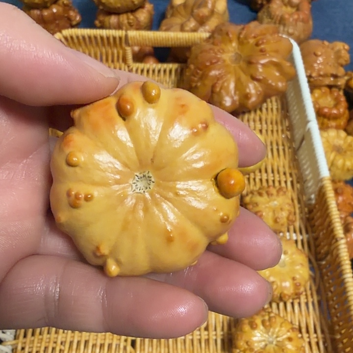 维***一墨西哥七彩疙瘩葫芦