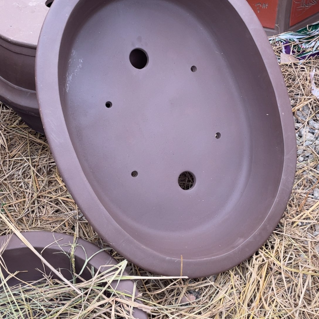 红***月特价处理紫砂一只90