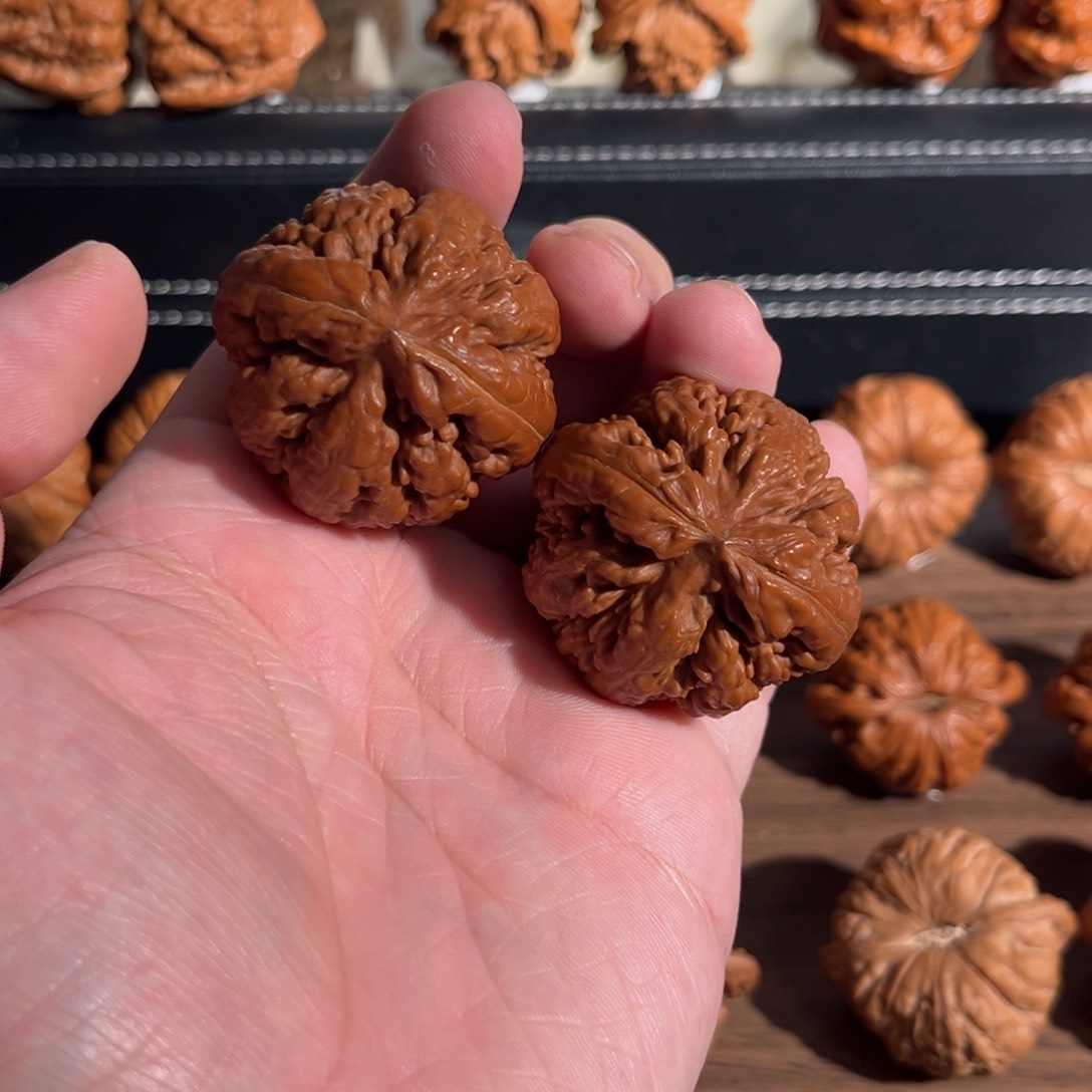 手串/手链核桃41全品回血霸王龙