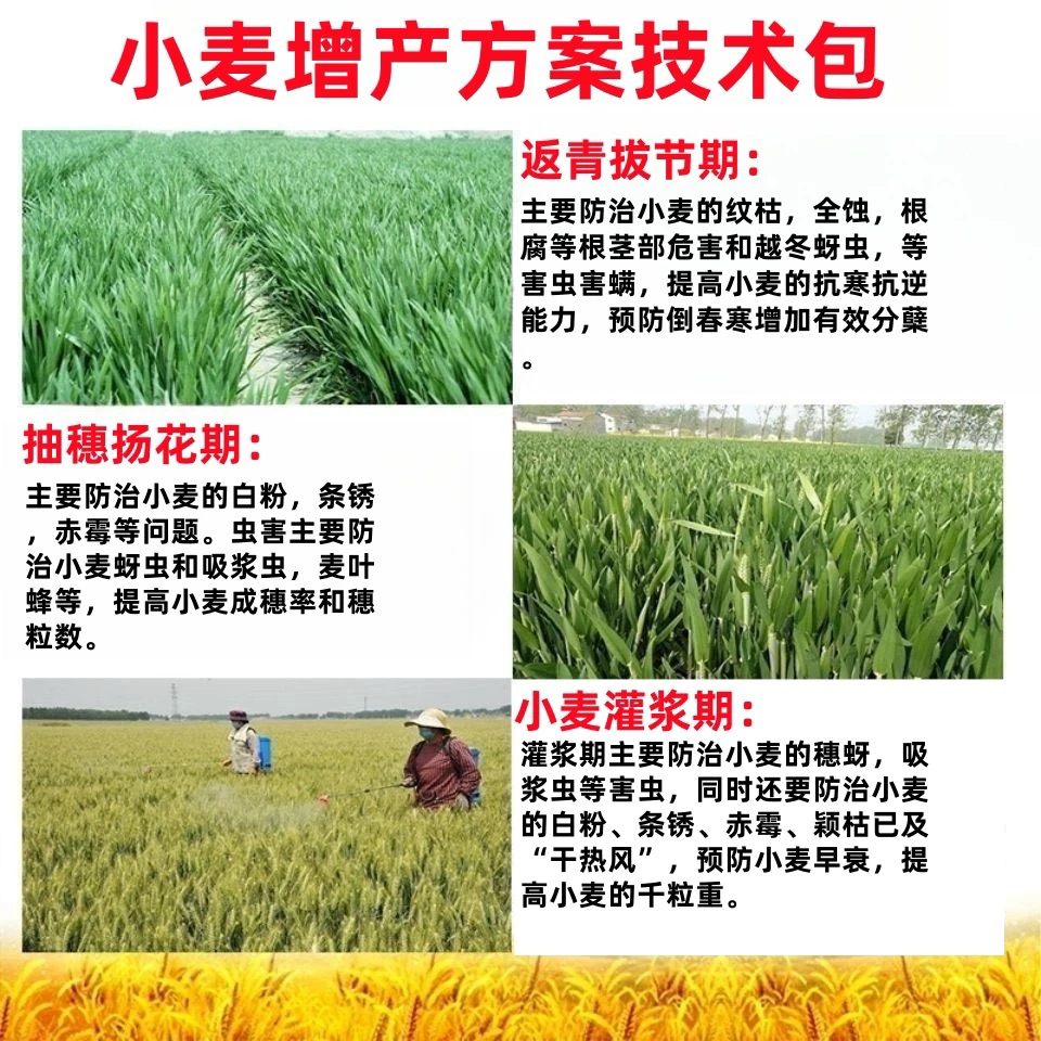 （一套十亩）小麦一喷三防组合叶面肥（十二瓶装）