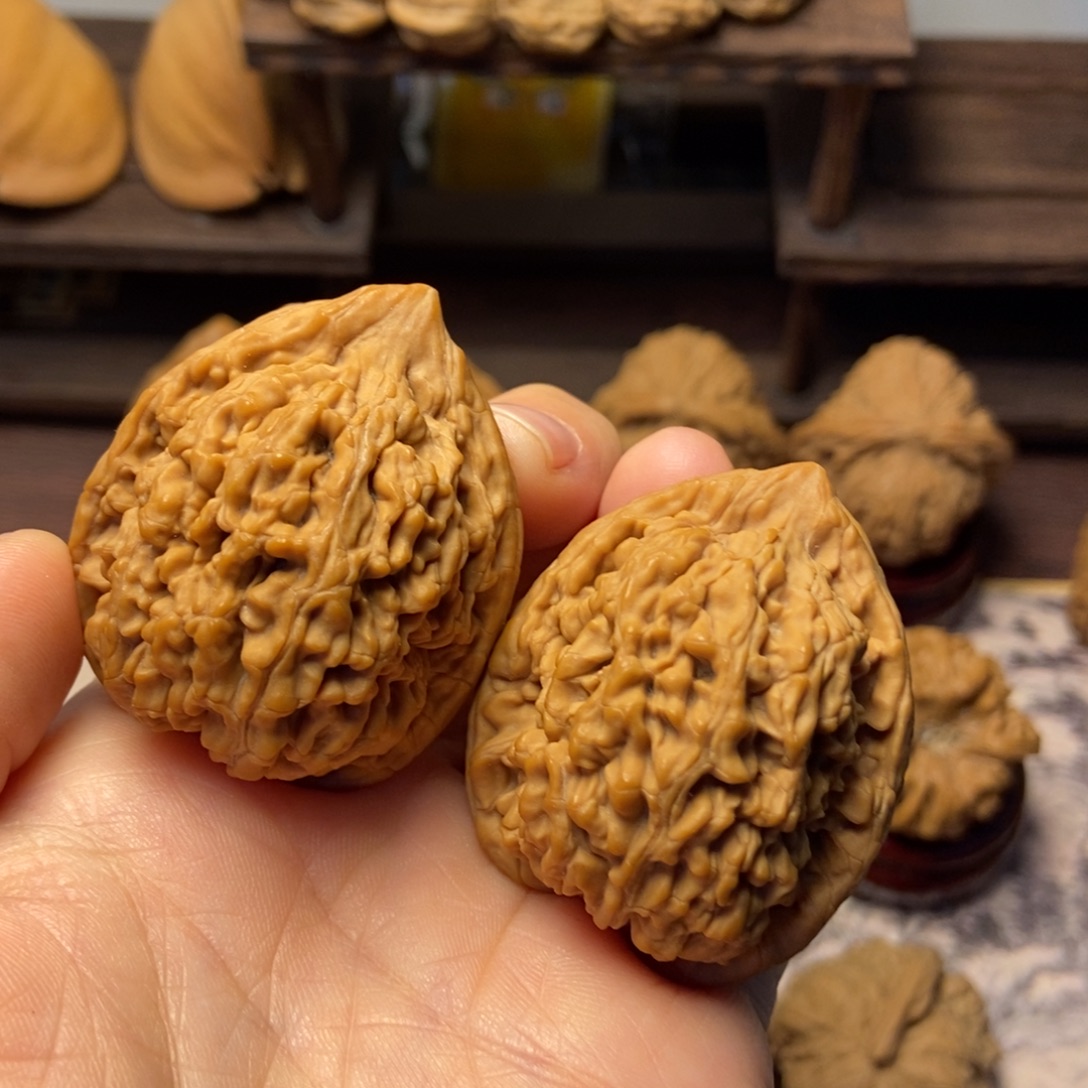 把件文玩核桃全品粗筋蚂蚁王39