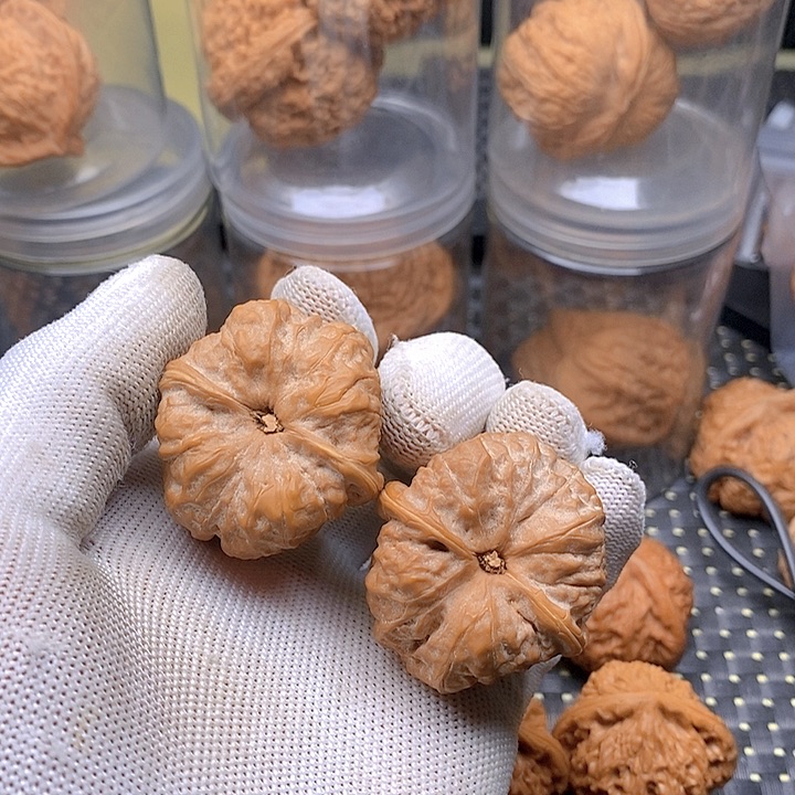 文玩核桃吊坠五***五蛤蟆头