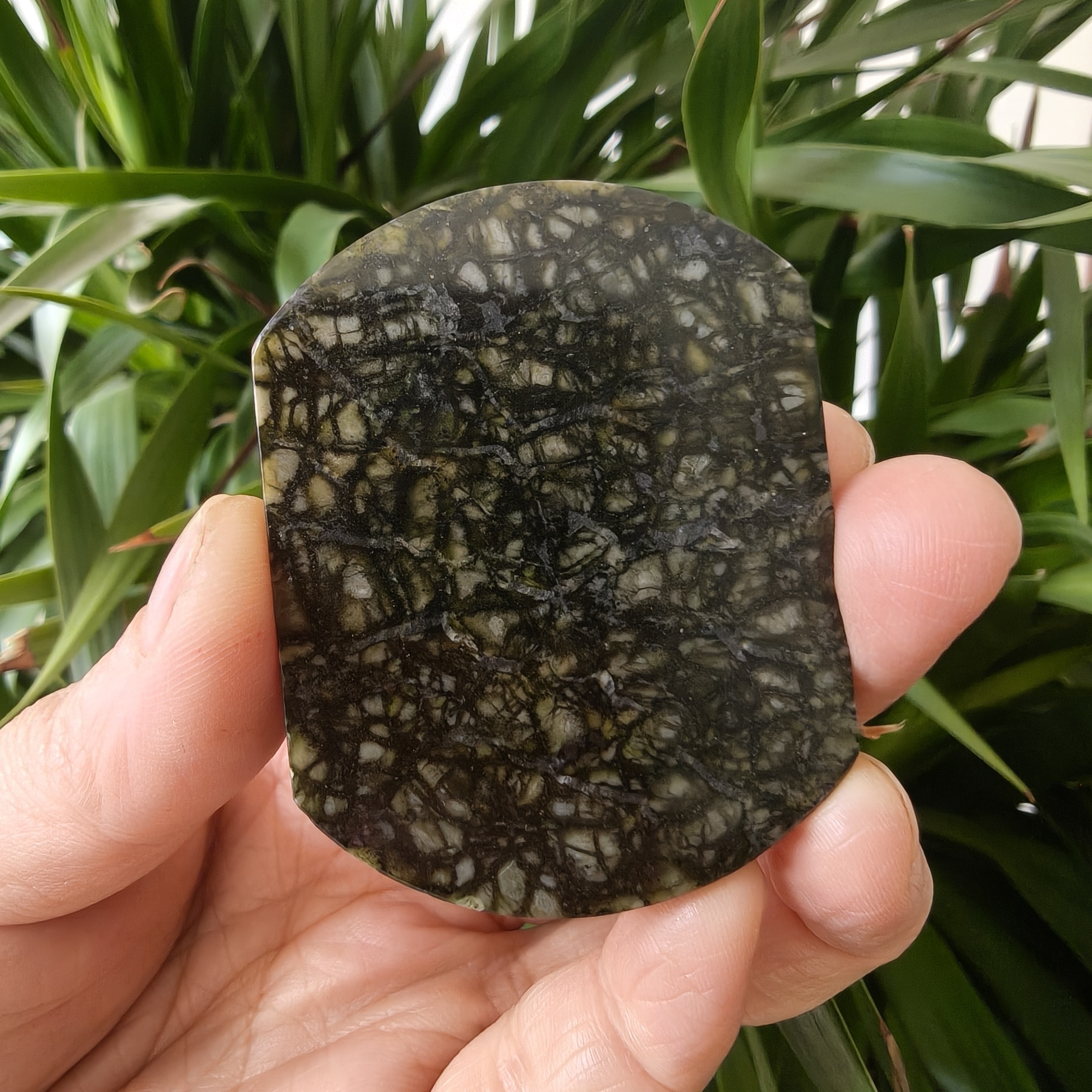 藏宝陨玉原石切片