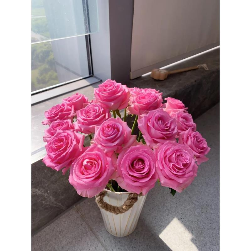 A级【苏醒单头玫瑰】鲜切花两单普快三单顺丰冷链送货上门